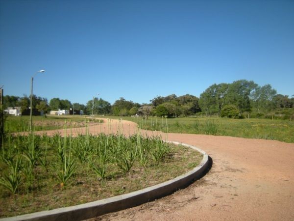 Urbanización Verdemora, barrio privado, Punta Ballena